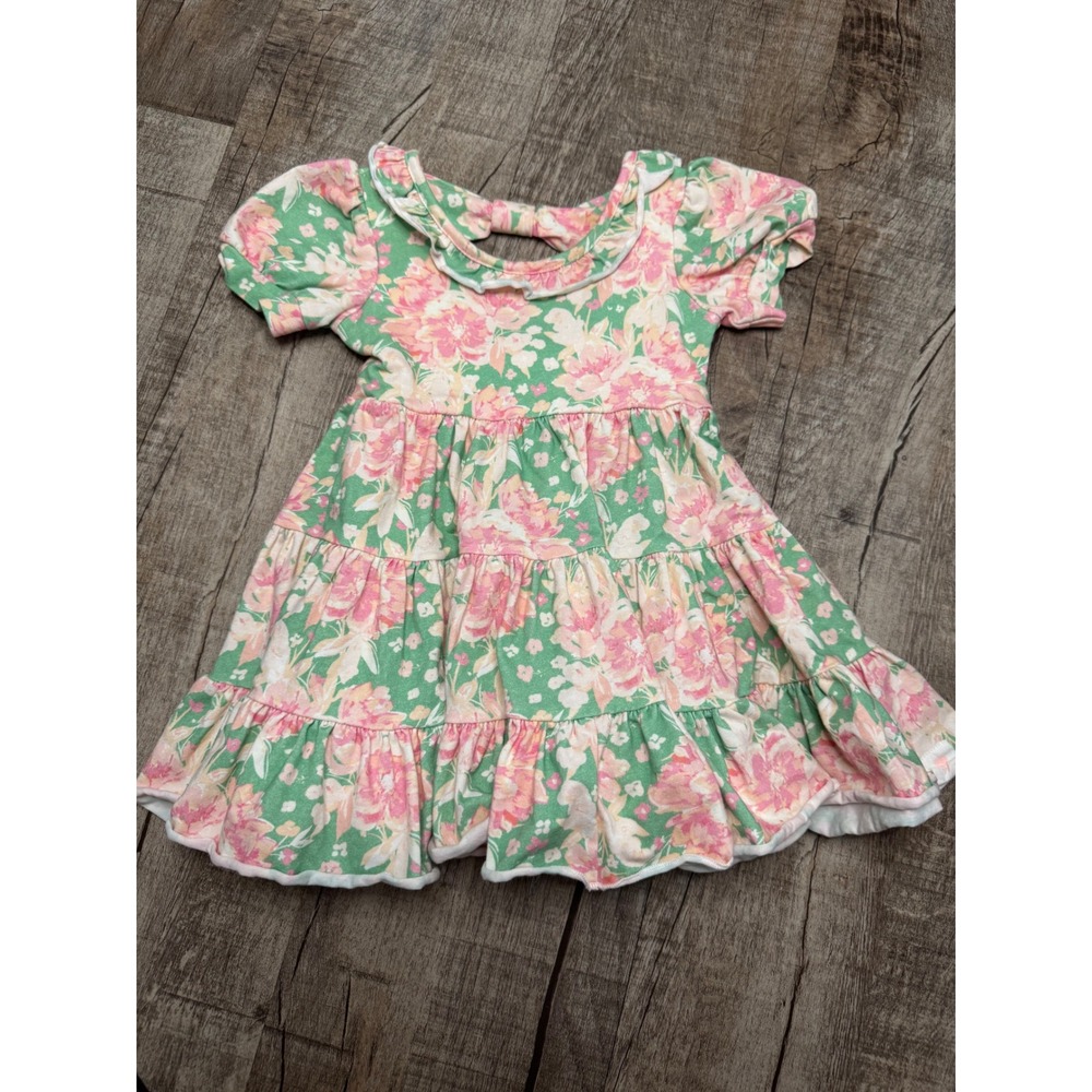 SweetHoney Baby Girls Pink Green Floral Tiered Ruffle Back Bow Dress 12M